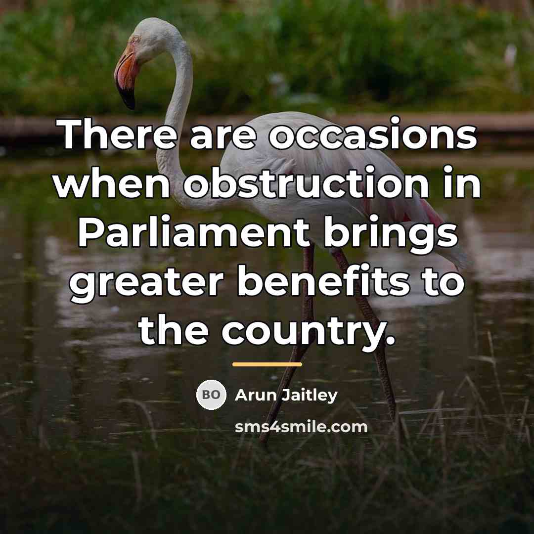 “There are occasions when obstruction in Parliament brings greater benefits…” quote by Arun Jaitley