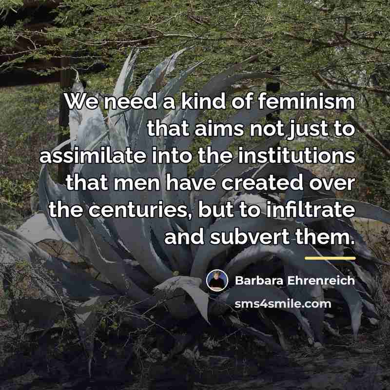 “We need a kind of feminism that aims not just…” quote by Barbara Ehrenreich