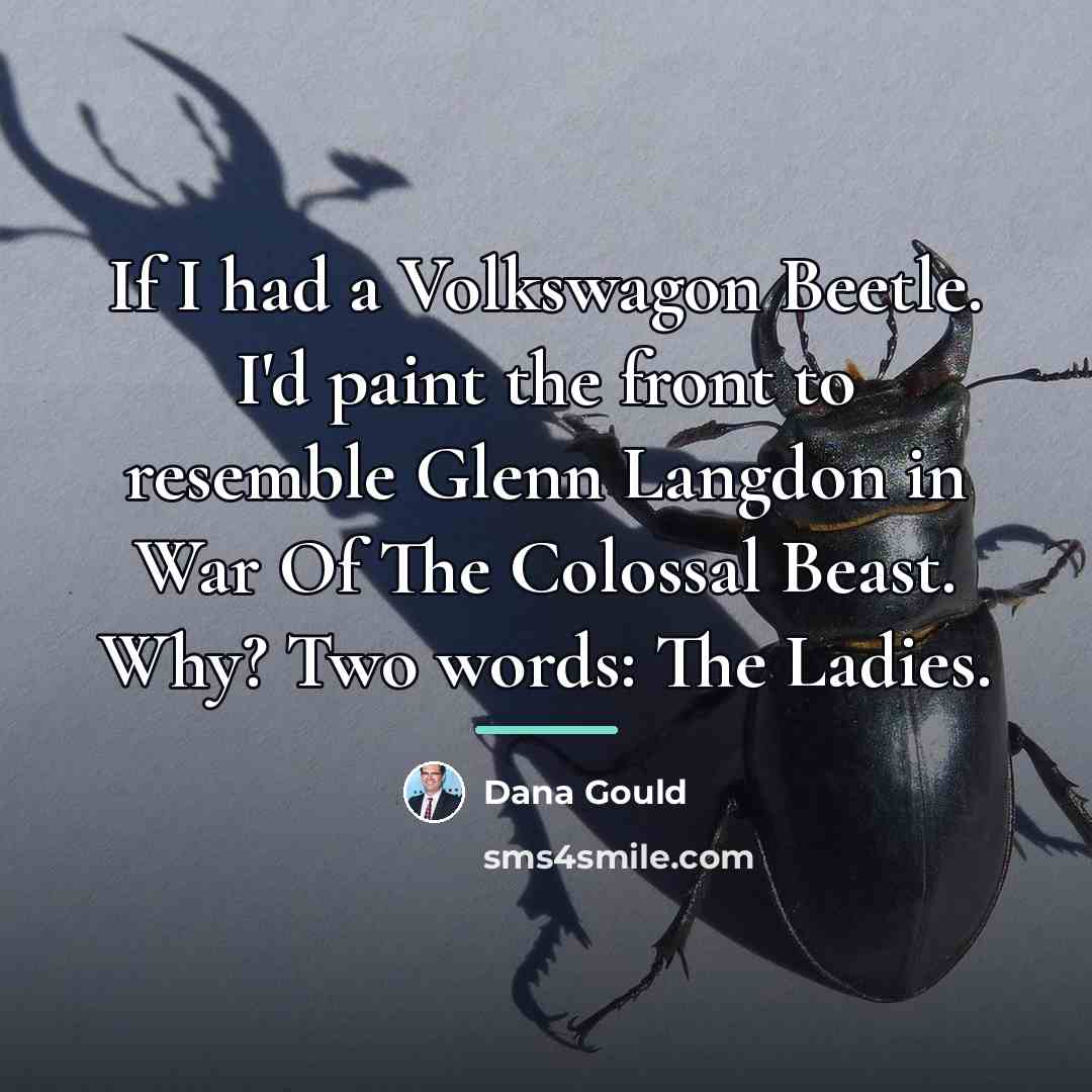 “If I had a Volkswagon Beetle. I'd paint the front…” quote by Dana Gould