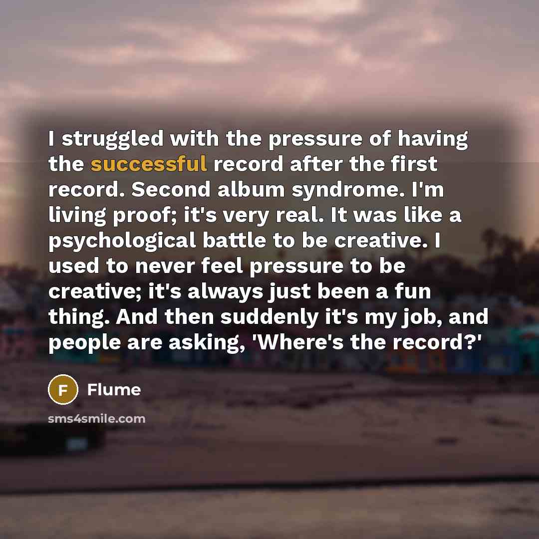 “I struggled with the pressure of having the successful record…” quote by Flume