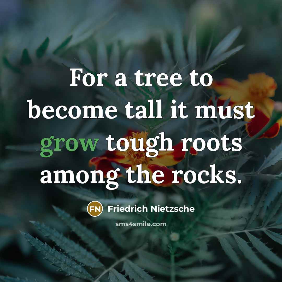 “For a tree to become tall it must grow tough…” quote by Friedrich Nietzsche