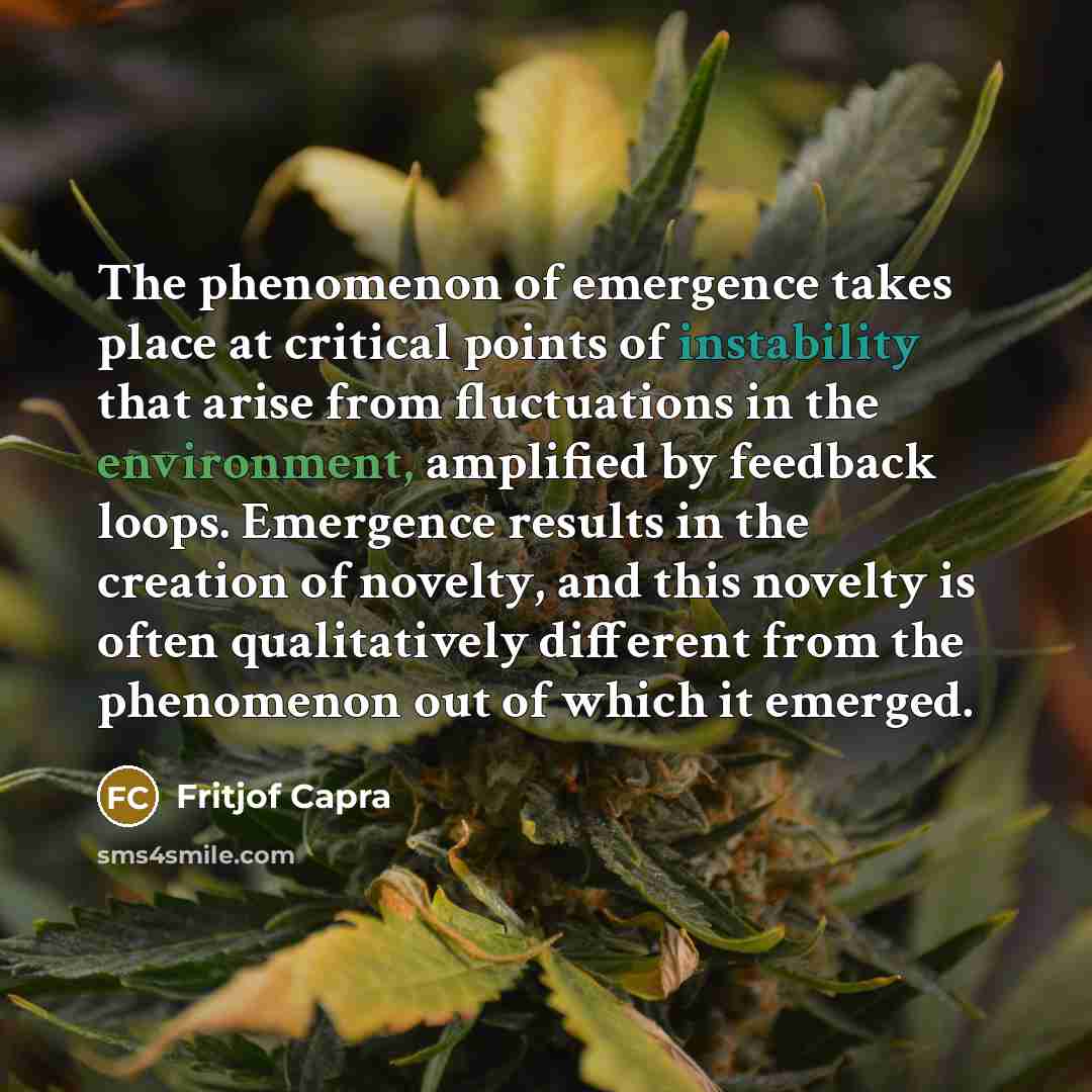 “The phenomenon of emergence takes place at critical points of…” quote by Fritjof Capra