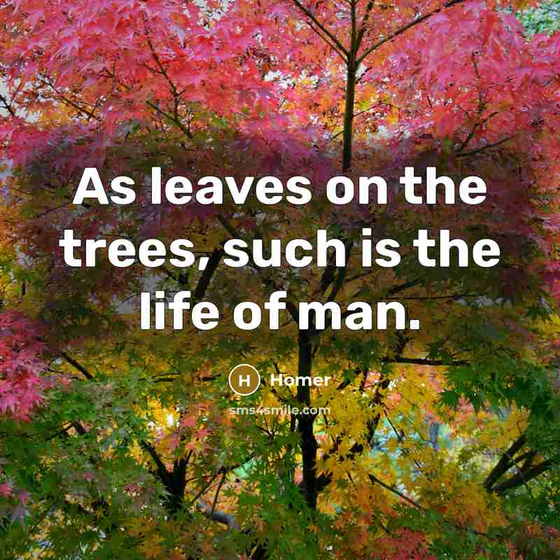 “As leaves on the trees, such is the life of…” quote by Homer