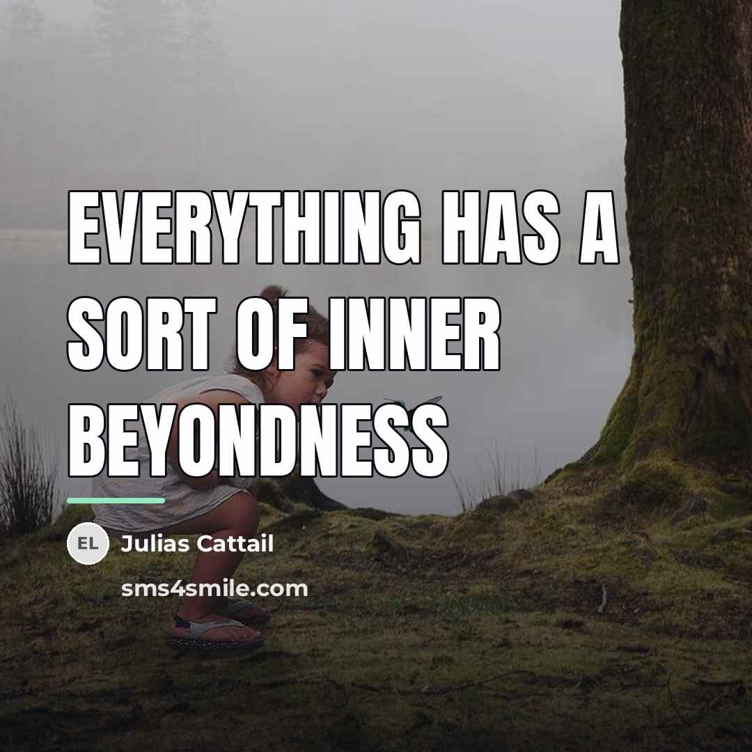 “Everything has a sort of inner beyondness…” quote by Julias Cattail