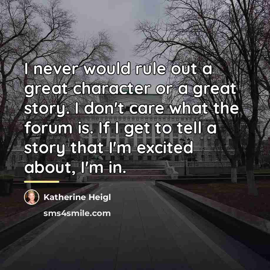 “I never would rule out a great character or a…” quote by Katherine Heigl