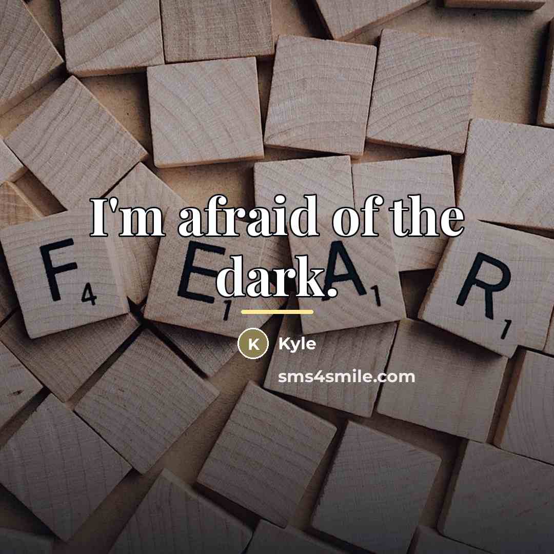 “I'm afraid of the dark.…” quote by Kyle
