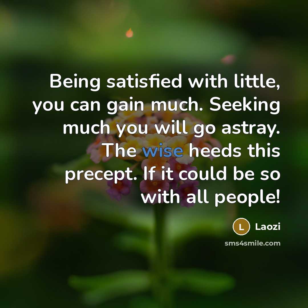 “Being satisfied with little, you can gain much. Seeking much you will go astray. The wise heeds this precept. If it could be so with all people!” quote by Laozi