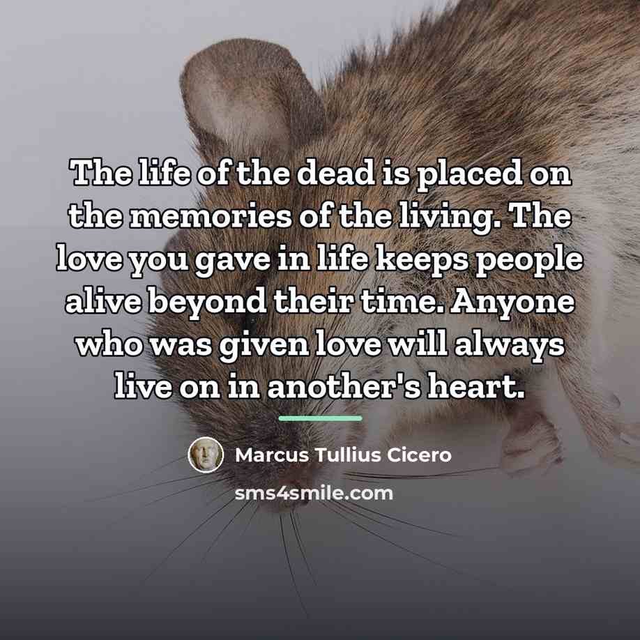 “The life of the dead is placed on the memories…” quote by Marcus Tullius Cicero