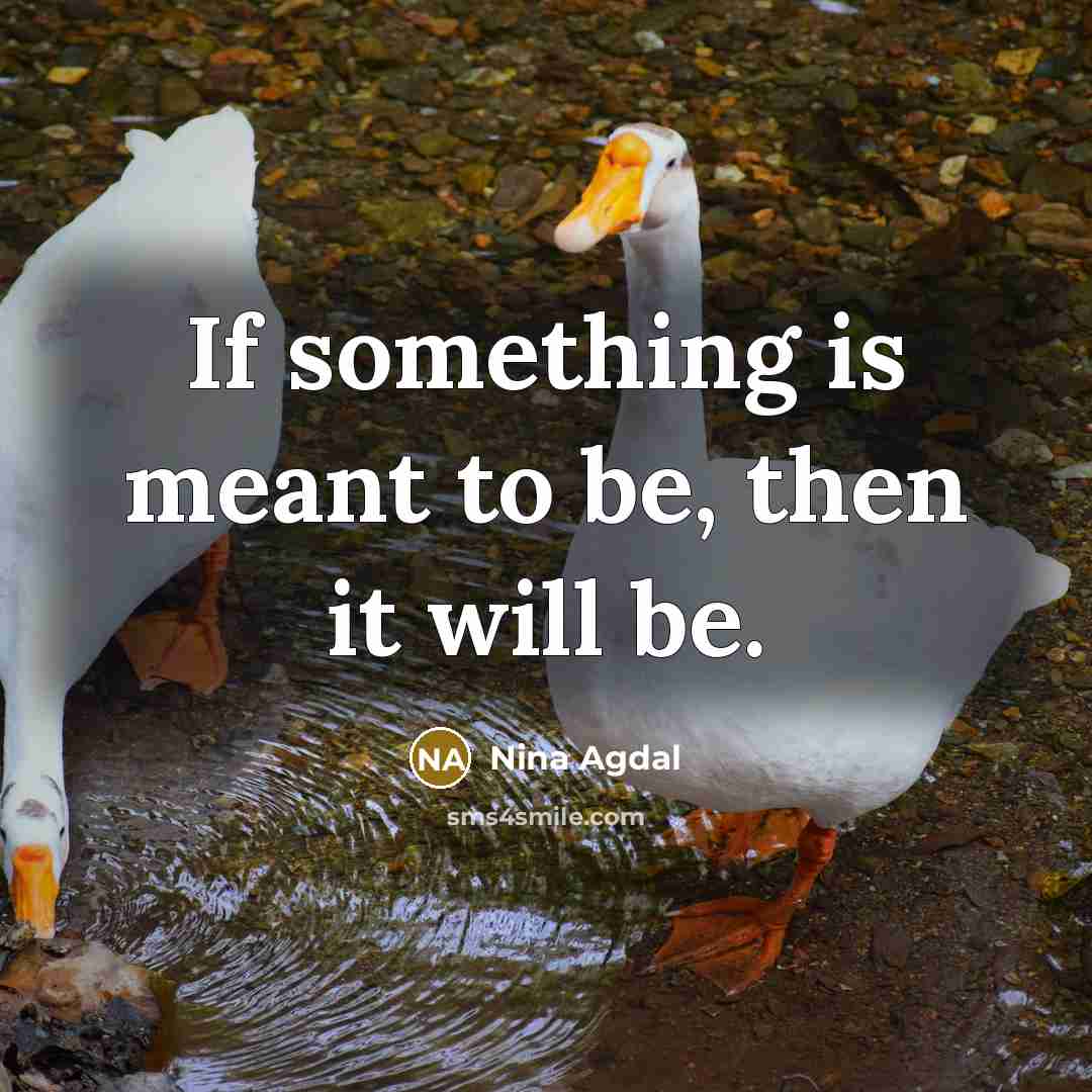 “If something is meant to be, then it will be.…” quote by Nina Agdal