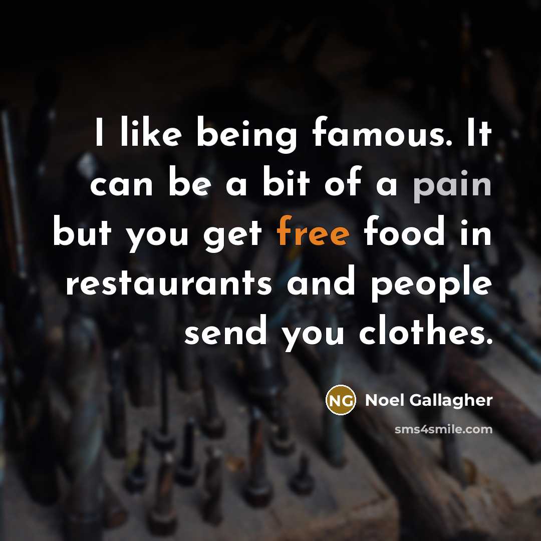 “I like being famous. It can be a bit of…” quote by Noel Gallagher