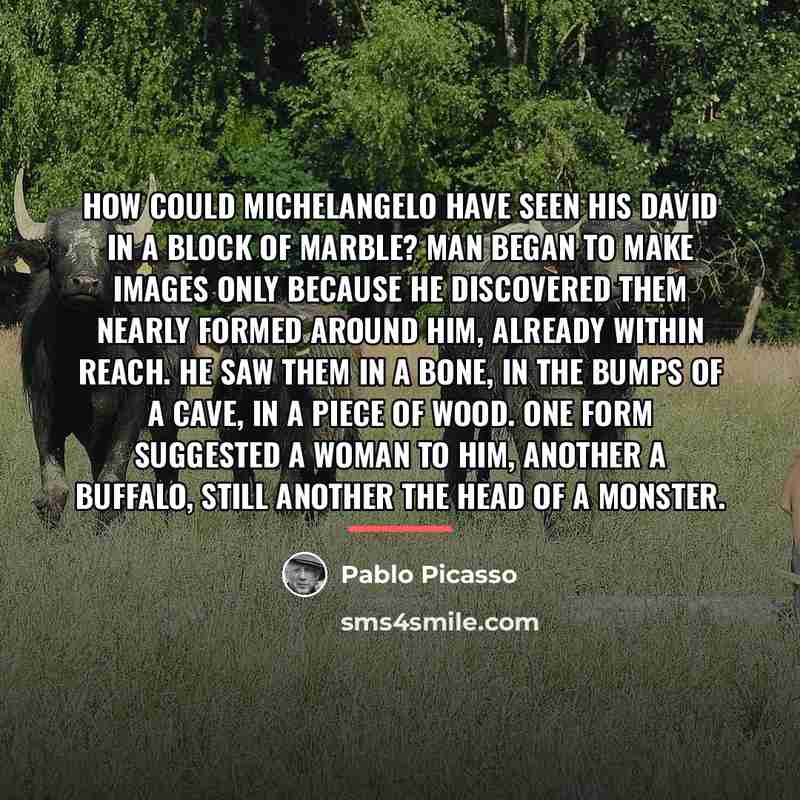 “How could Michelangelo have seen his David in a block…” quote by Pablo Picasso