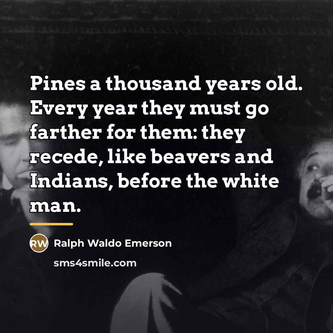 “Pines a thousand years old. Every year they must go…” quote by Ralph Waldo Emerson
