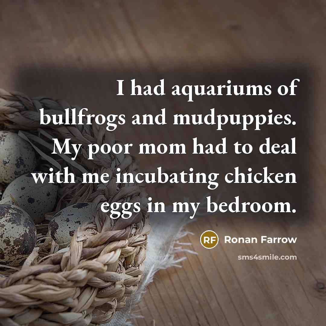 “I had aquariums of bullfrogs and mudpuppies. My poor mom had to deal with me incubating chicken eggs in my bedroom.” quote by Ronan Farrow