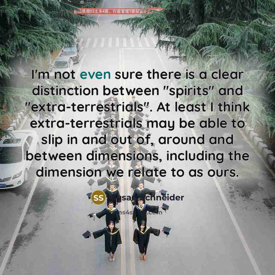 “I'm not even sure there is a clear distinction between…” quote by Susan Schneider