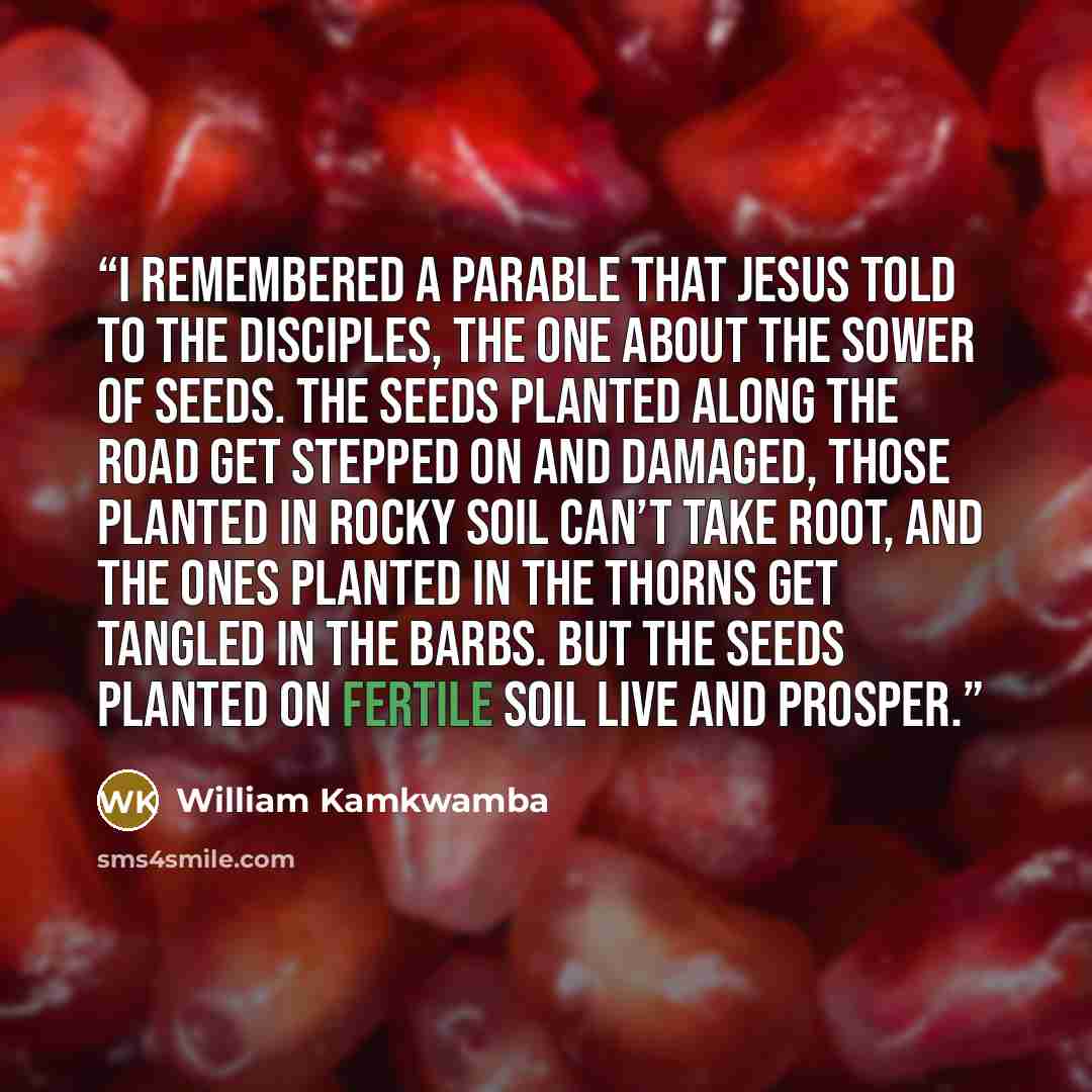 “I remembered a parable that Jesus told to the disciples, the one about the sower of seeds. The seeds planted along the road get stepped on and damaged, those planted in rocky soil can’t take root, and the ones planted in the thorns get tangled in the barbs. But the seeds planted on fertile soil…” quote by William Kamkwamba