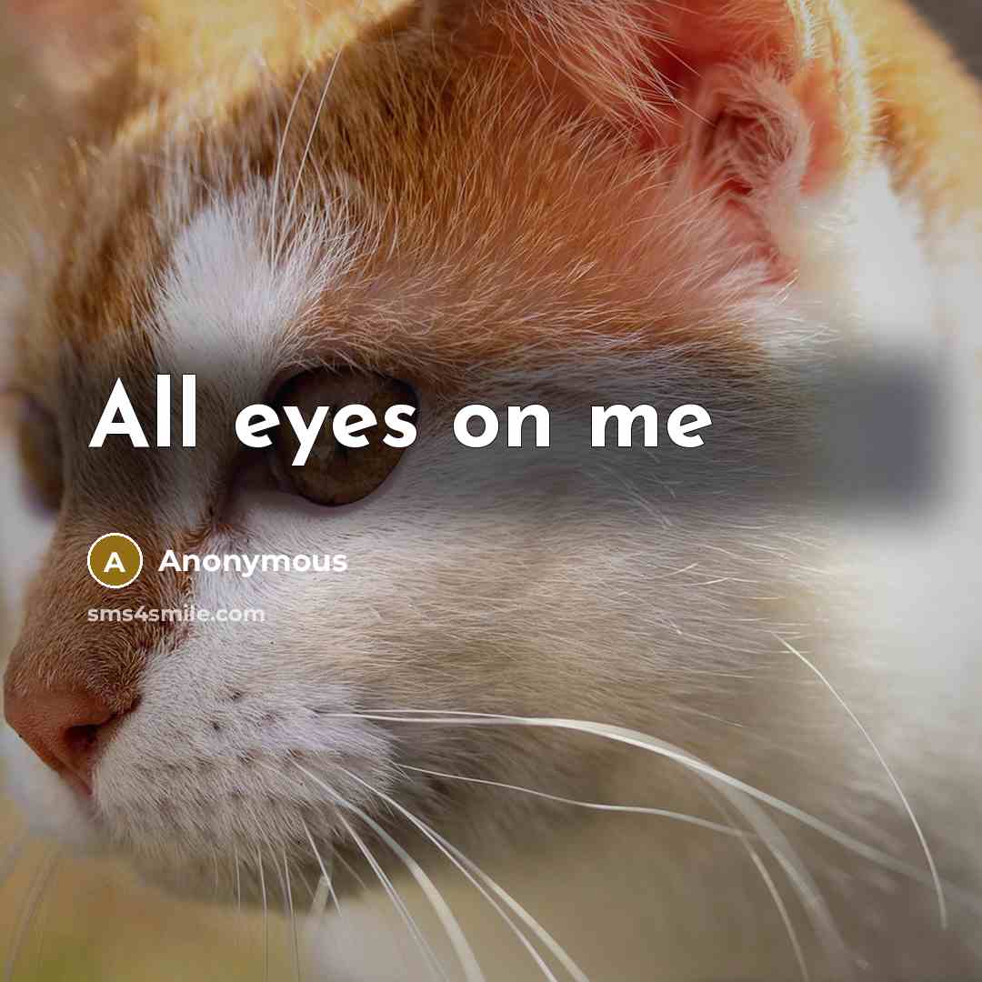 “All eyes on me” quote by Anonymous
