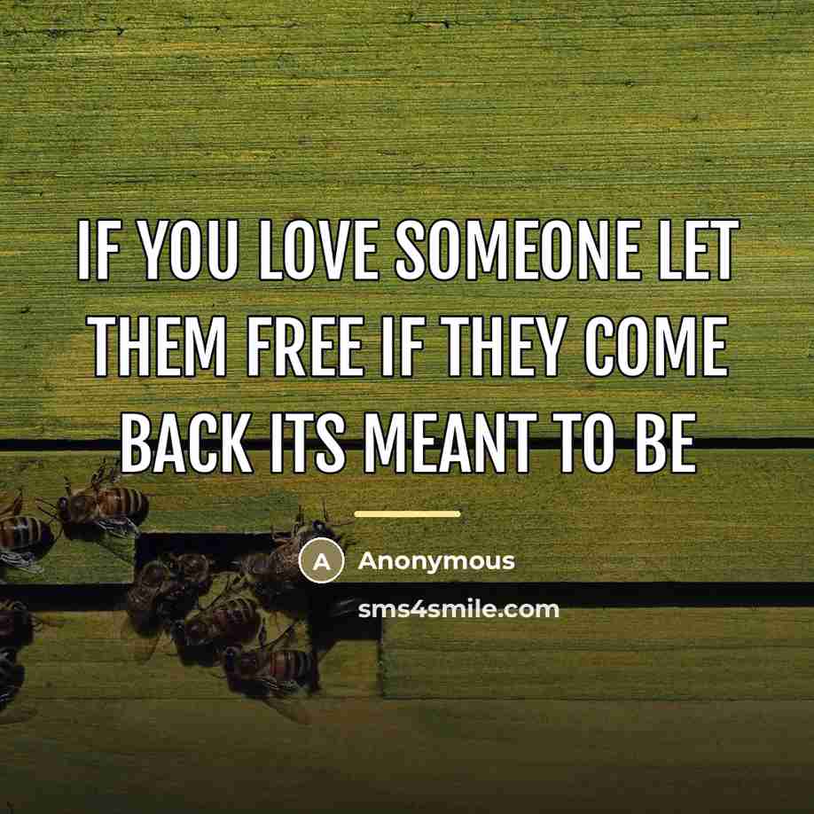 “If you love someone let them free if they come…” quote by Anonymous