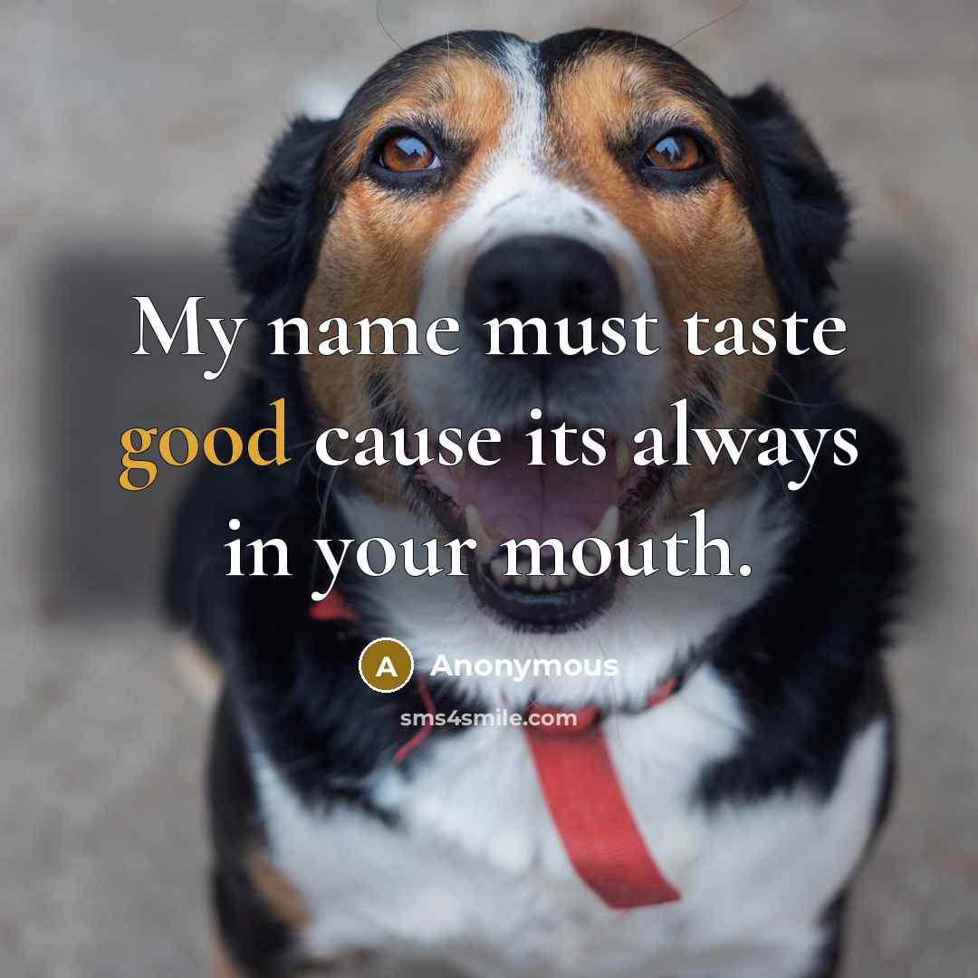“My name must taste good cause its always in your mouth.” quote by Anonymous