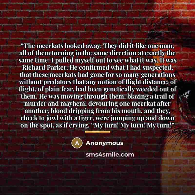 “The meerkats looked away. They did it like one man, all of them turning in the same direction at exactly the same time. I pulled myself out to see what it was. It was Richard Parker. He confirmed what I had suspected, that these meerkats had gone for so many generations without predators that any…” quote by Anonymous