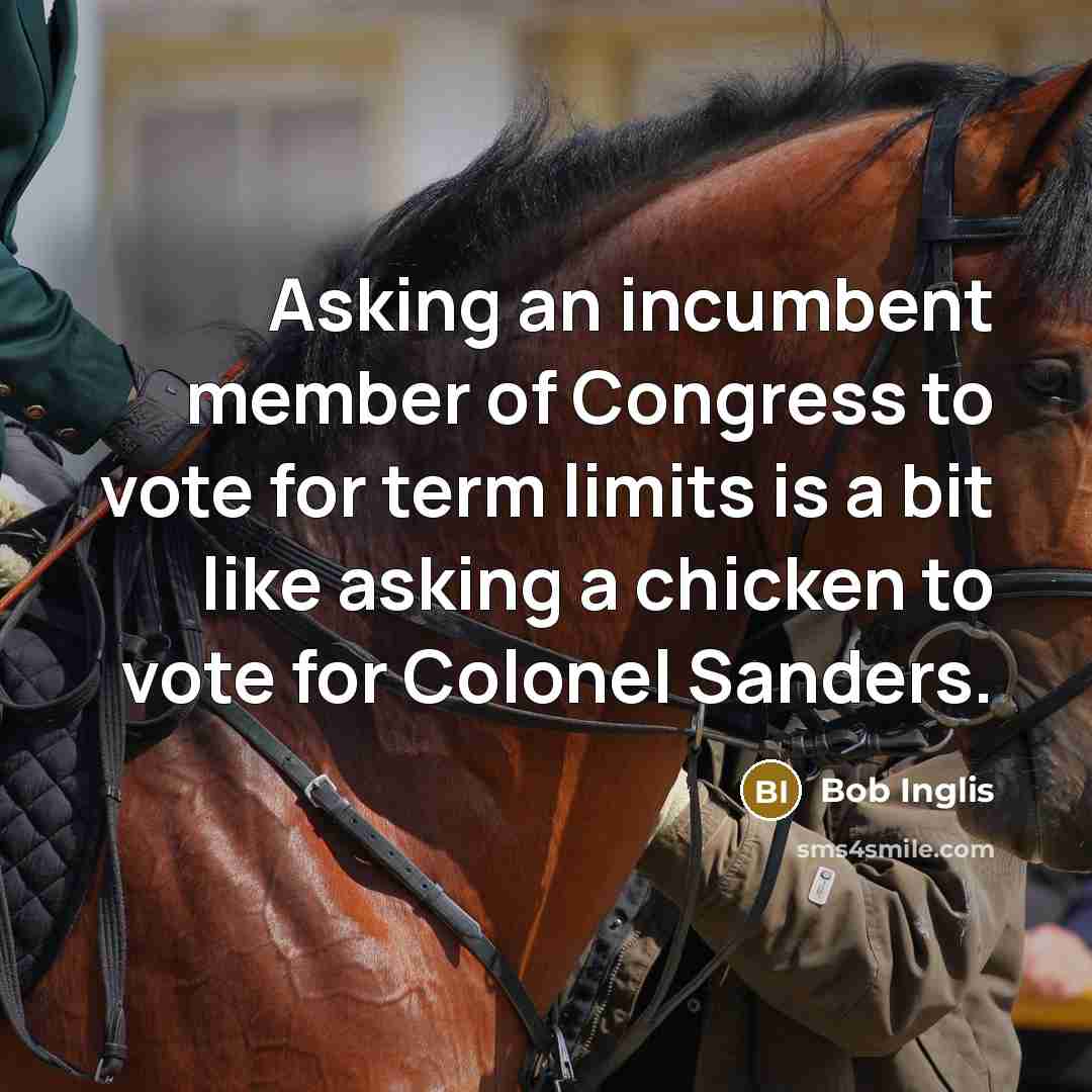 “Asking an incumbent member of Congress to vote for term…” quote by Bob Inglis
