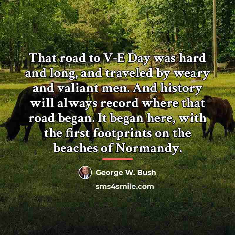 “That road to V-E Day was hard and long, and…” quote by George W. Bush