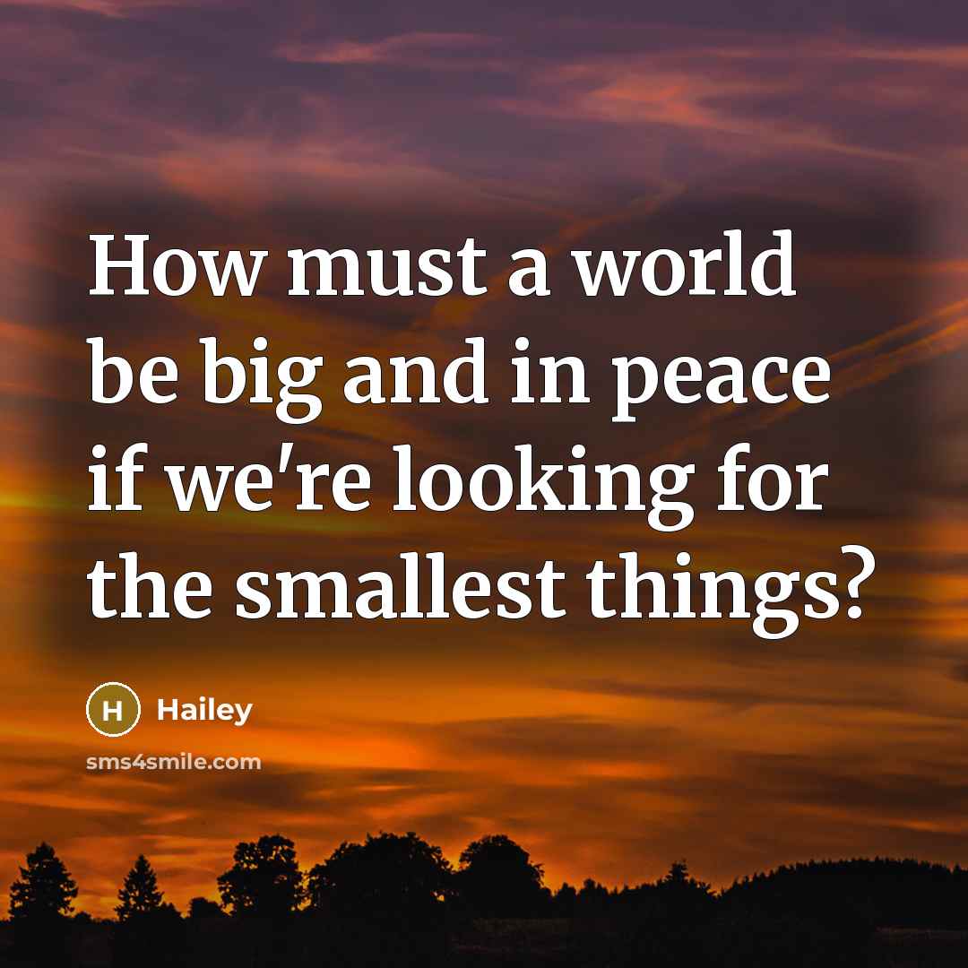 “How must a world be big and in peace if we're looking for the smallest things?” quote by Hailey