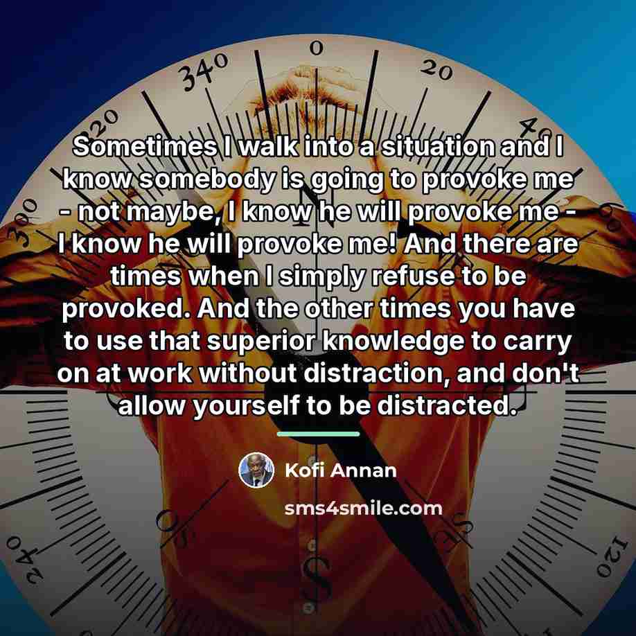 “Sometimes I walk into a situation and I know somebody…” quote by Kofi Annan