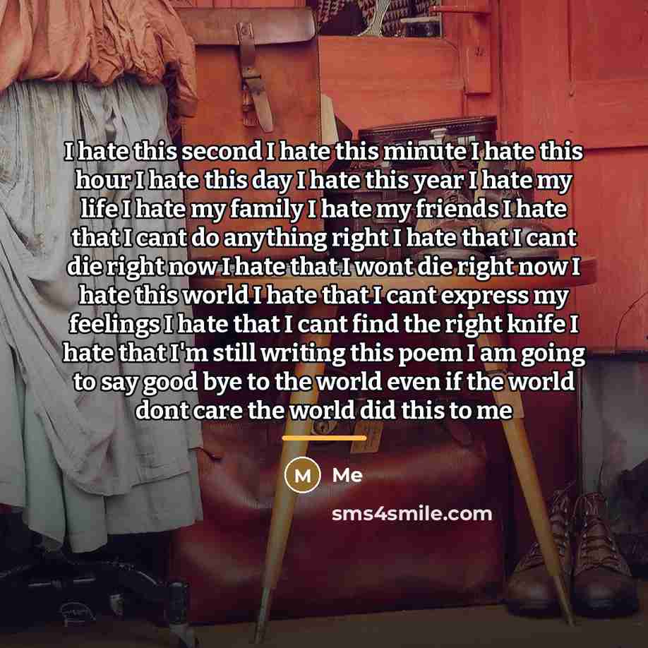 “I hate this second I hate this minute I hate…” quote by Me