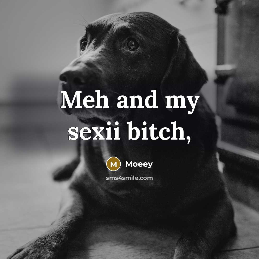 “Meh and my sexii bitch,…” quote by Moeey