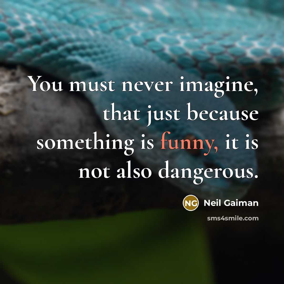“You must never imagine, that just because something is funny,…” quote by Neil Gaiman