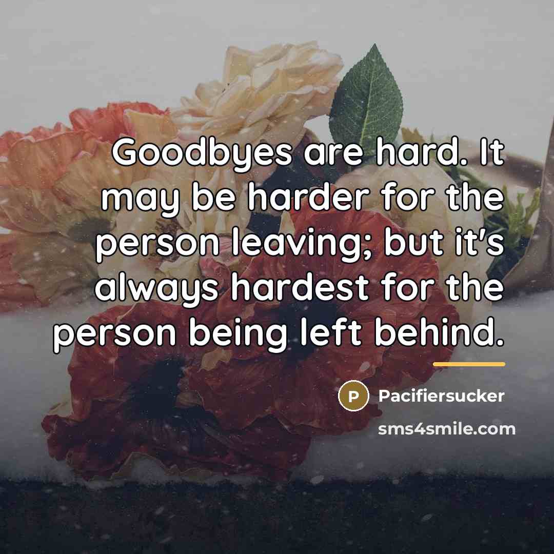 “Goodbyes are hard. It may be harder for the person…” quote by Pacifiersucker
