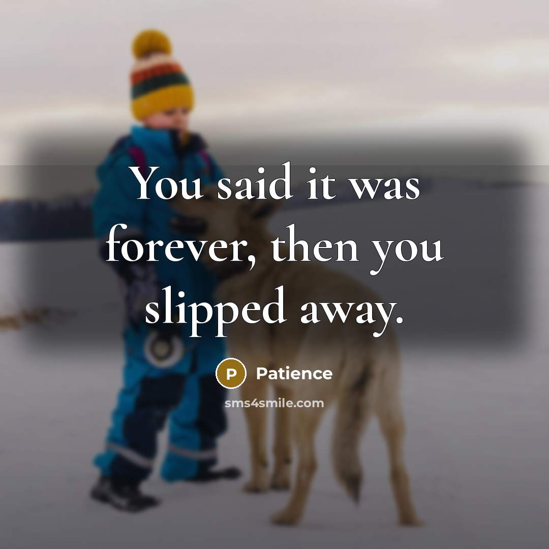 “You said it was forever, then you slipped away.” quote by Patience