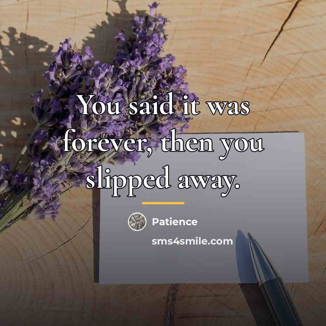 “You said it was forever, then you slipped away.…” quote by Patience