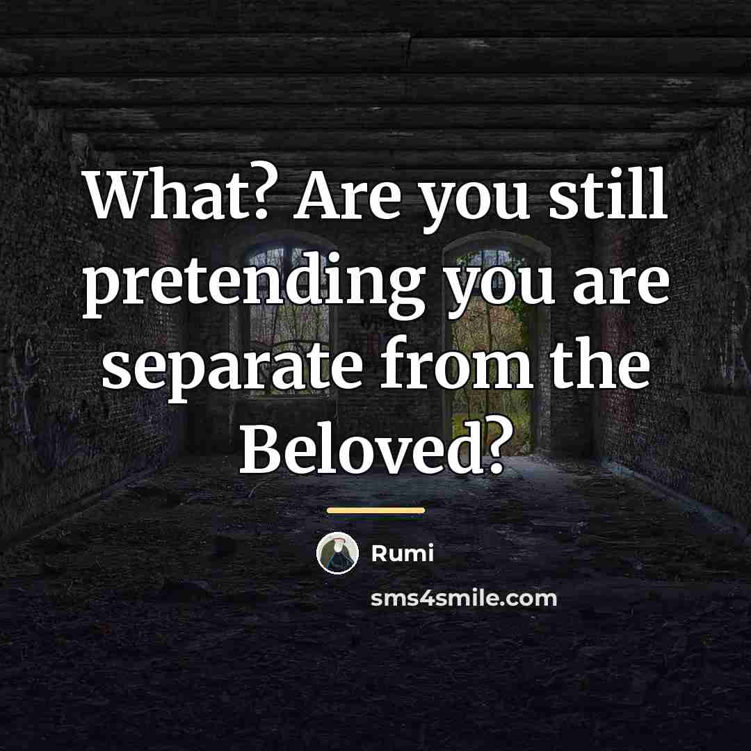 “What? Are you still pretending you are separate from the…” quote by Rumi