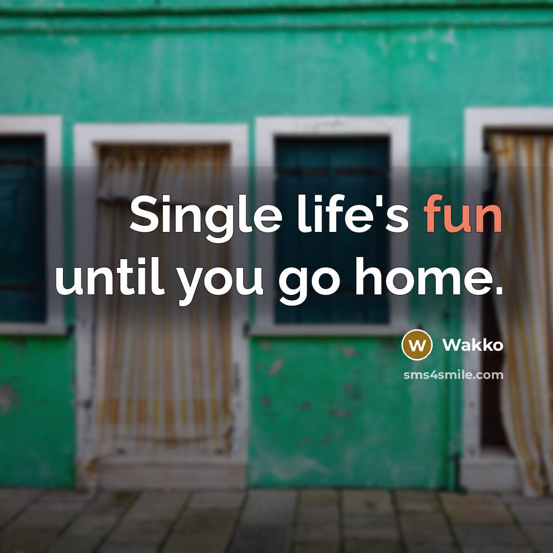 “Single life's fun until you go home.” quote by Wakko