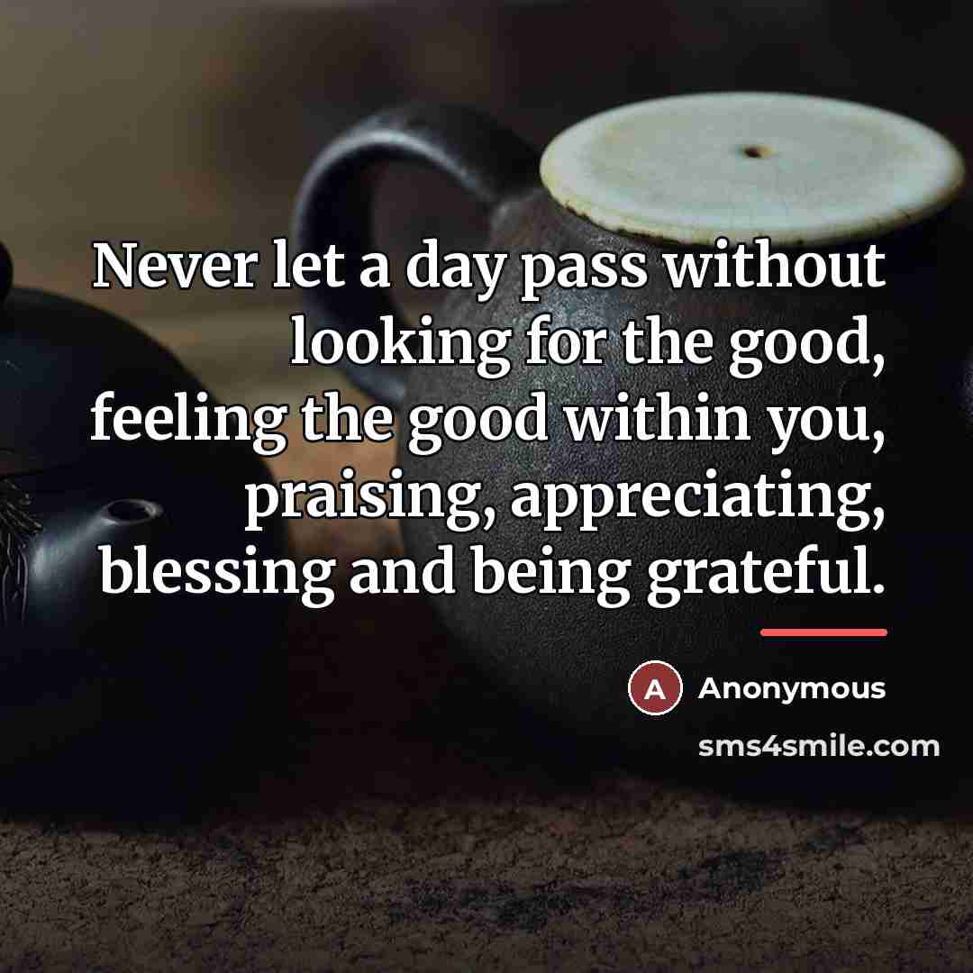 “Never let a day pass without looking for the good,…” quote by Anonymous