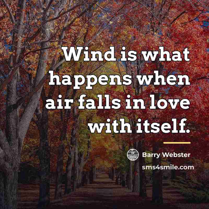 “Wind is what happens when air falls in love with…” quote by Barry Webster