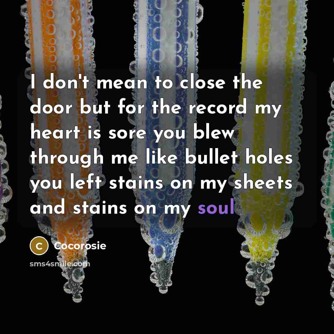 “I don't mean to close the door but for the record my heart is sore you blew through me like bullet holes you left stains on my sheets and stains on my soul” quote by Cocorosie