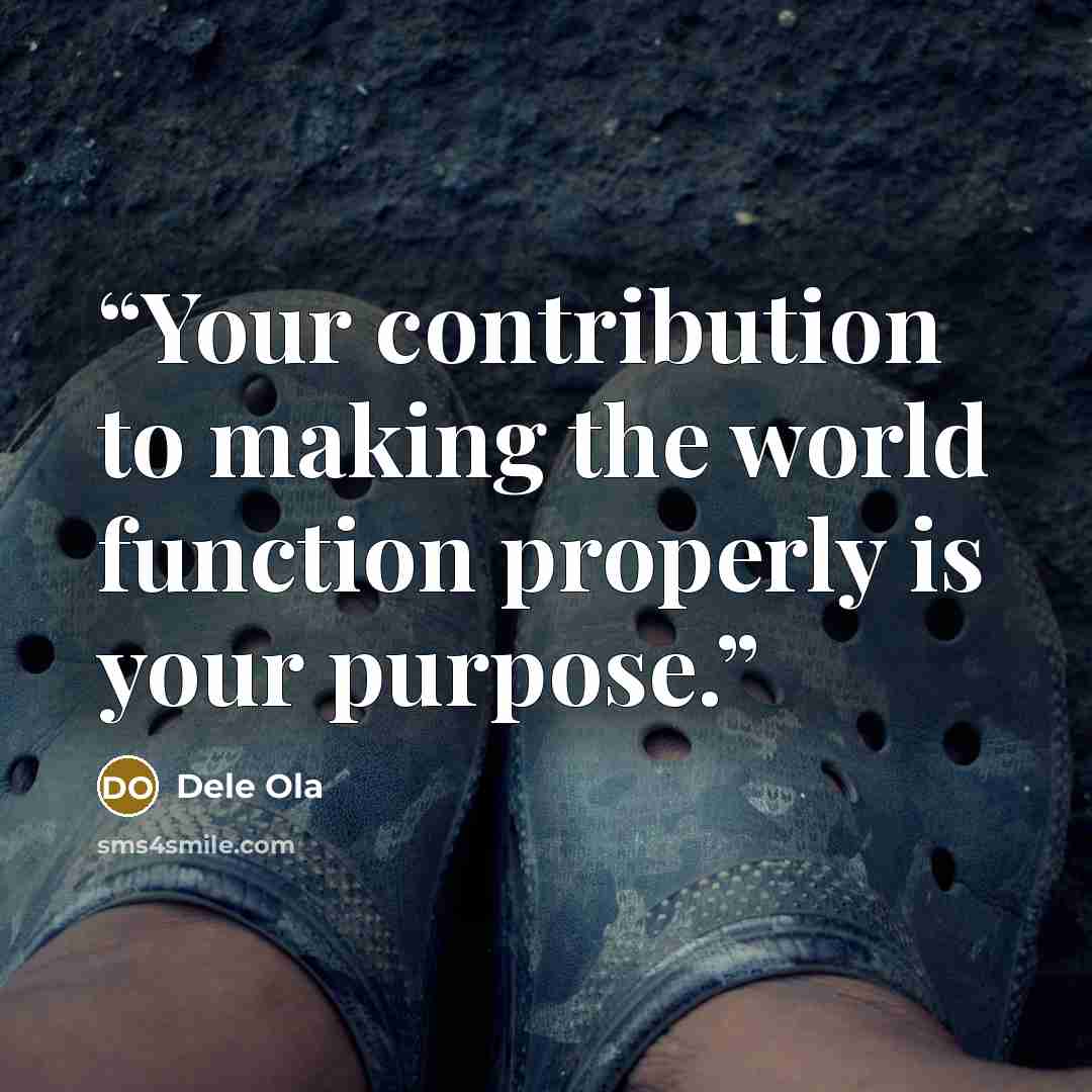 “Your contribution to making the world function properly is your purpose.” quote by Dele Ola