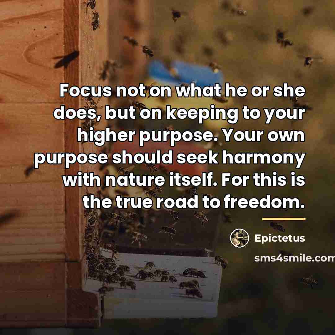 “Focus not on what he or she does, but on…” quote by Epictetus