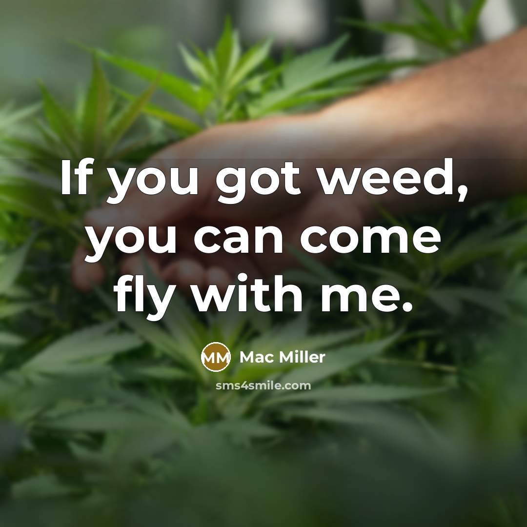 “If you got weed, you can come fly with me.…” quote by Mac Miller