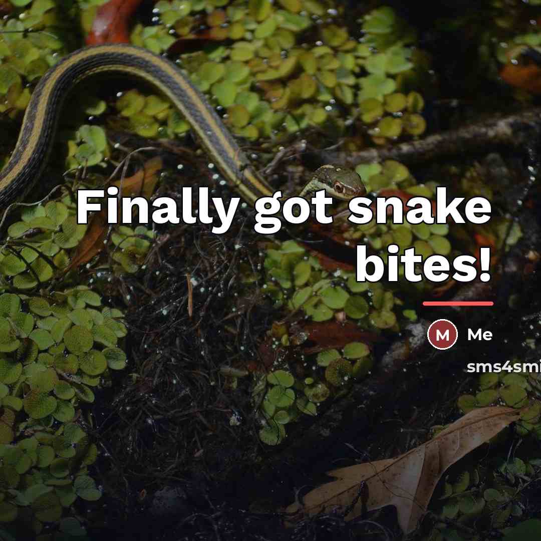 “Finally got snake bites!…” quote by Me