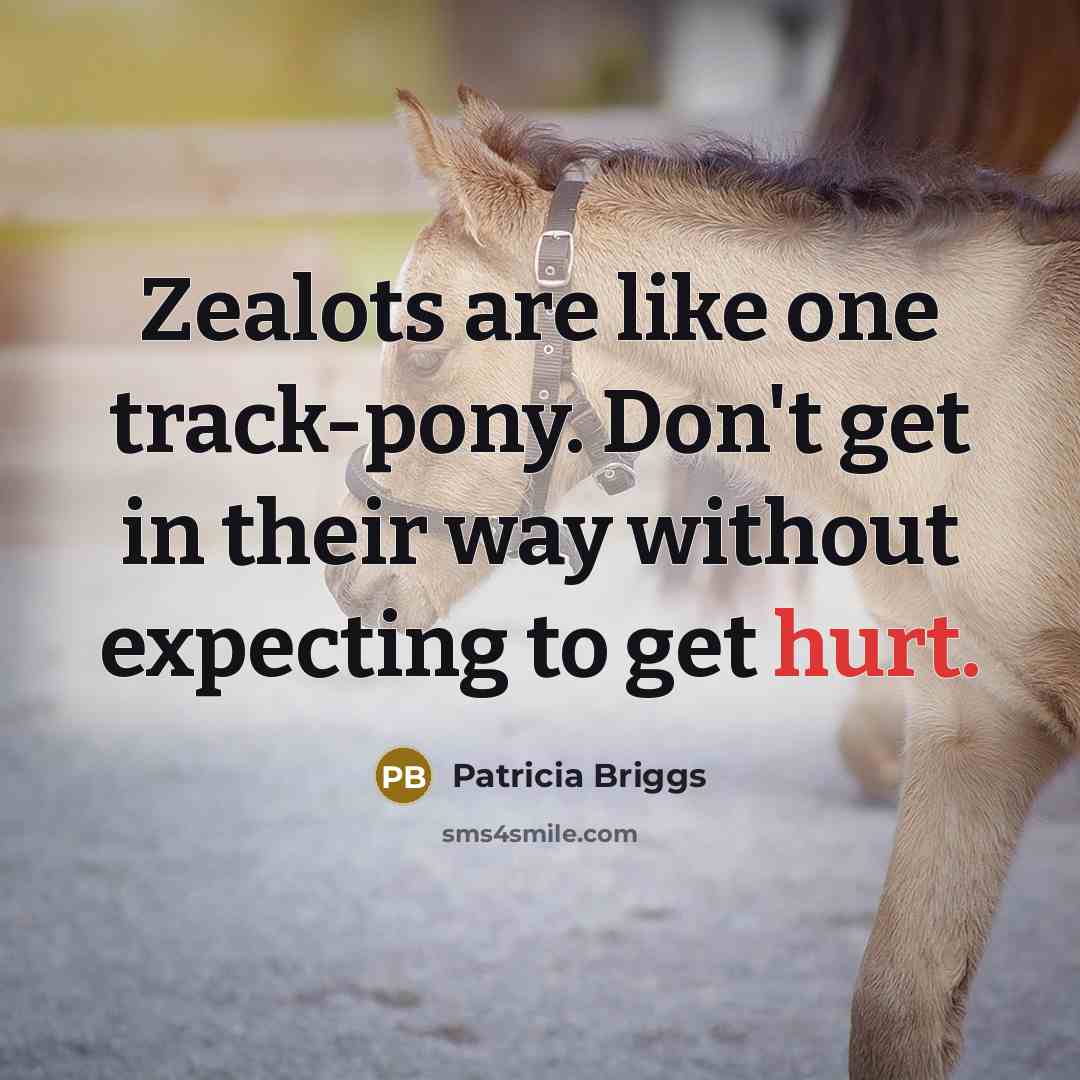 “Zealots are like one track-pony. Don't get in their way…” quote by Patricia Briggs
