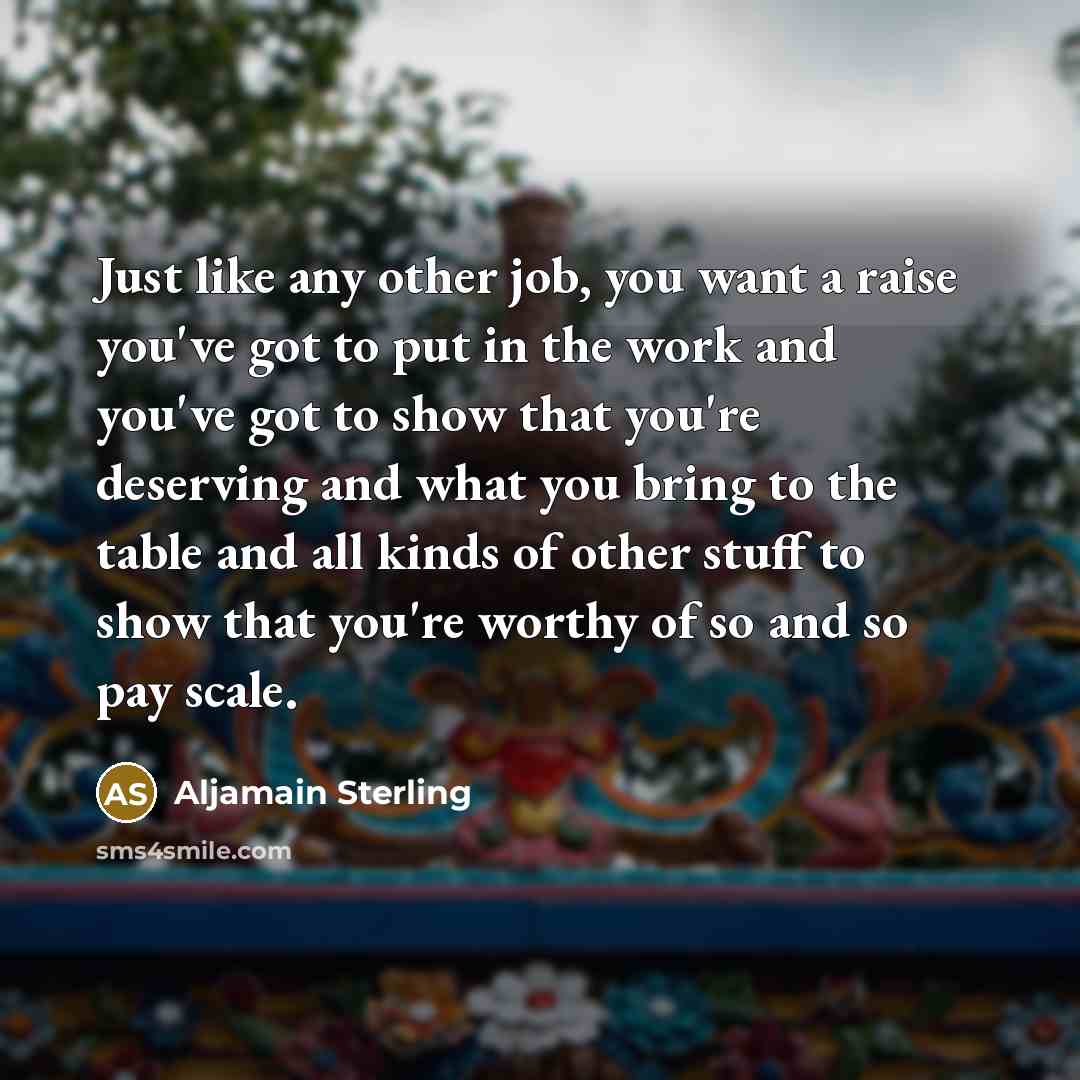 “Just like any other job, you want a raise you've…” quote by Aljamain Sterling
