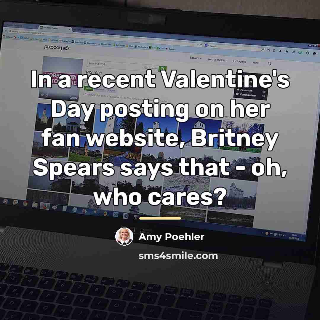 “In a recent Valentine's Day posting on her fan website,…” quote by Amy Poehler