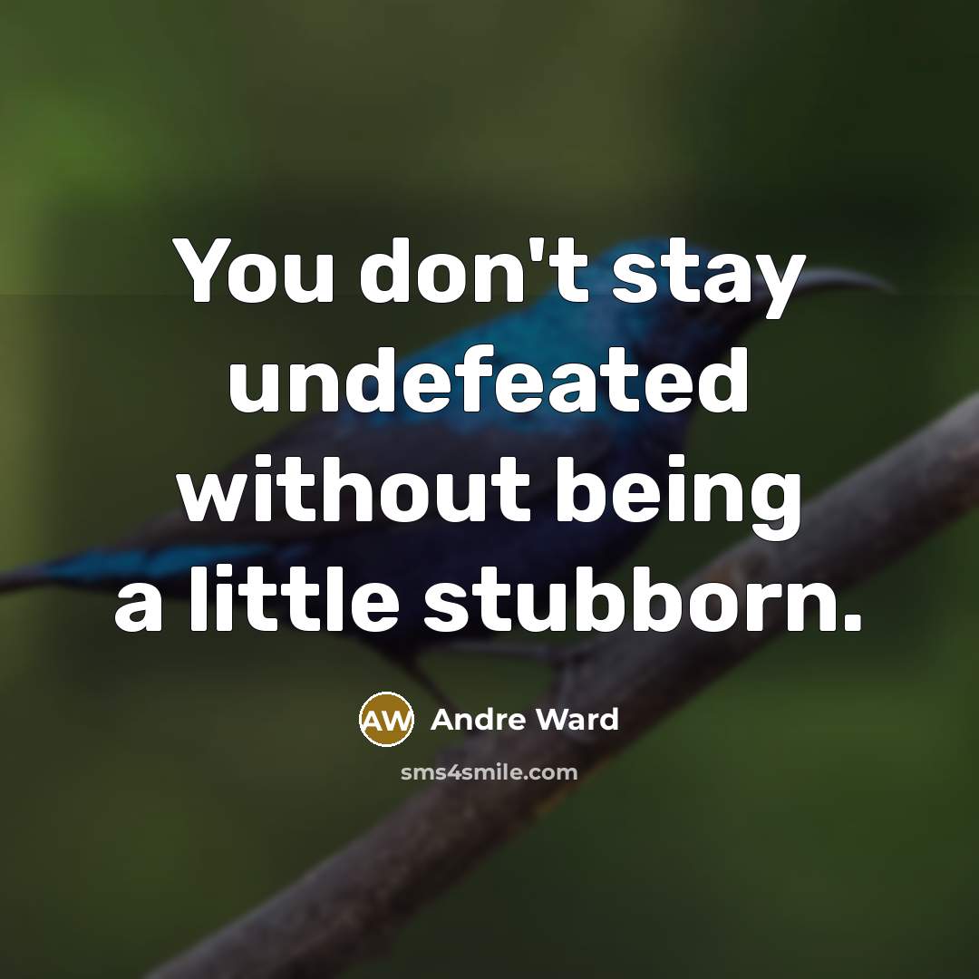 “You don't stay undefeated without being a little stubborn.…” quote by Andre Ward