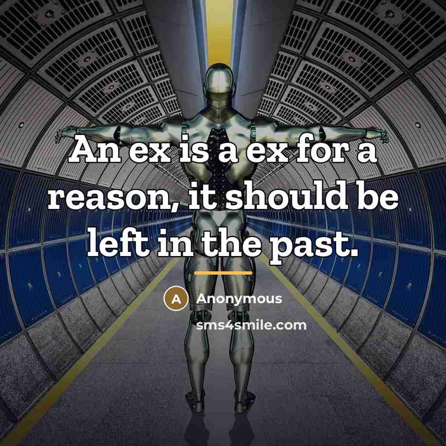 “An ex is a ex for a reason, it should…” quote by Anonymous