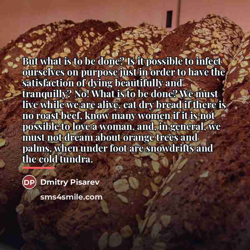“But what is to be done? Is it possible to…” quote by Dmitry Pisarev