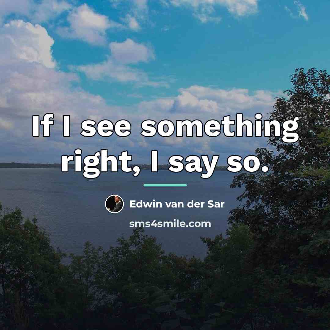“If I see something right, I say so.…” quote by Edwin van der Sar