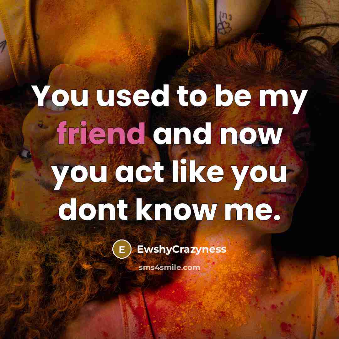 “You used to be my friend and now you act…” quote by EwshyCrazyness